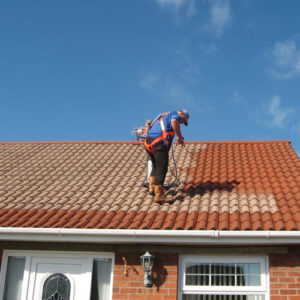 roof painting