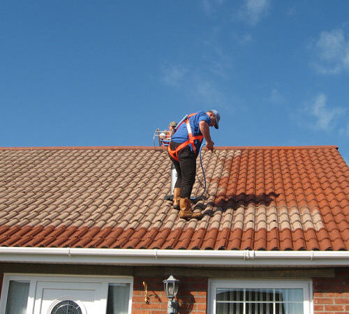 Tips For Roof Painting